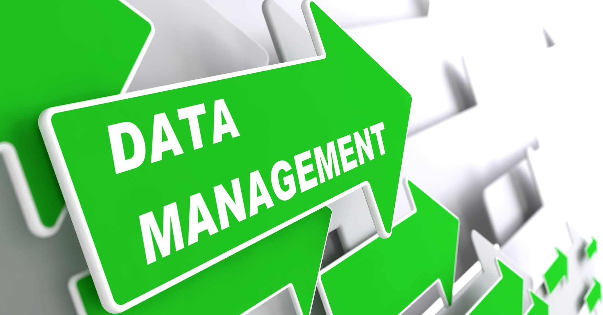 How to avoid mistakes in Data Management.